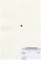 藏品(小團扇藻)的圖片